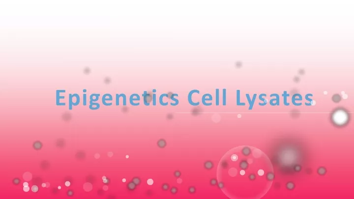 epigenetics cell lysates