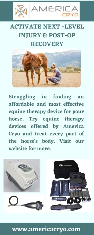 Equine Therapy Devices