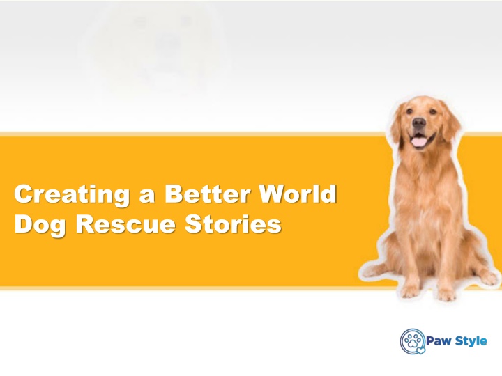 c reating a better world dog rescue stories