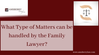 What Type of Matters can be handled by the Family Lawyer