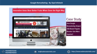 How Google Remarketing Helped USA-Based Puppies Breeder Gain More Inquiries?