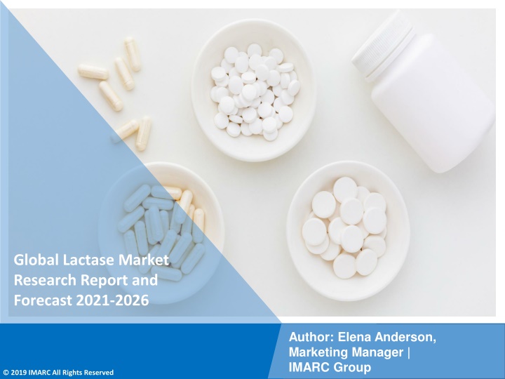 global lactase market research report