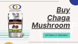 Buy Chaga Mushroom Supplement