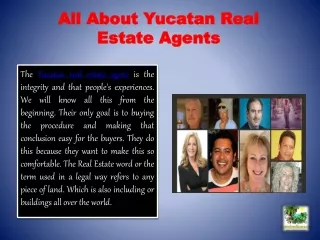 All About Yucatan Real Estate Agents