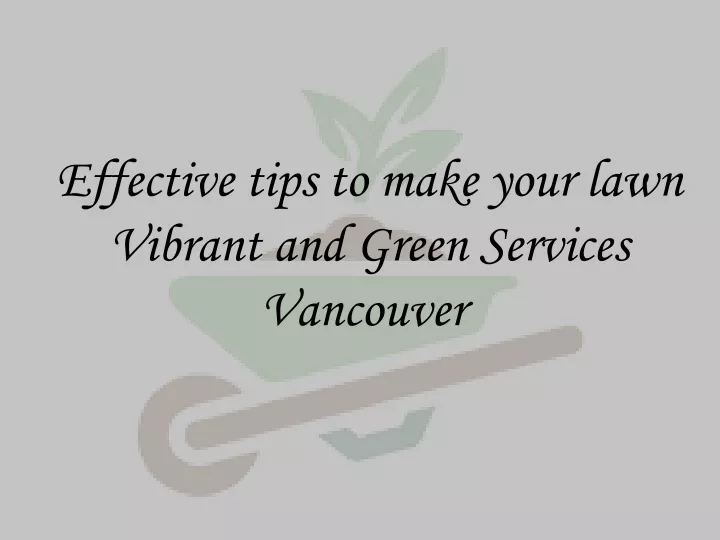 effective tips to make your lawn vibrant and g reen services vancouver