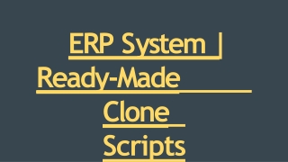 e r p s ystem