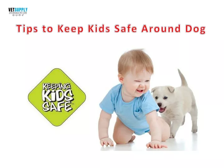 tips to keep kids safe around dog