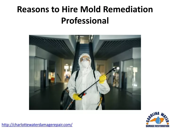 reasons to hire mold remediation professional