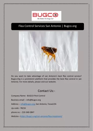 Flea Control Services San Antonio | Bugco.org