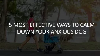 5 MOST EFFECTIVE WAYS TO CALM DOWN YOUR
