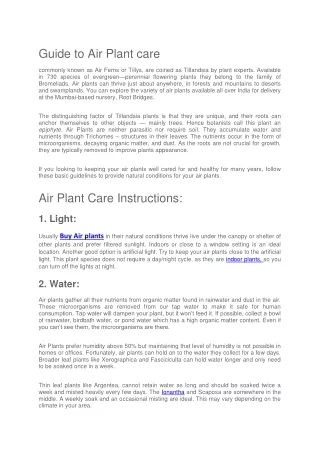 Air Plant Care Instructions