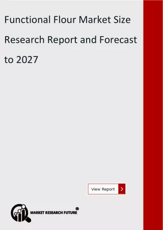 global functional flour market size analysis