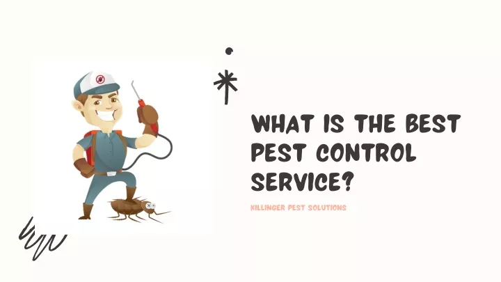 what is the best pest control service killinger