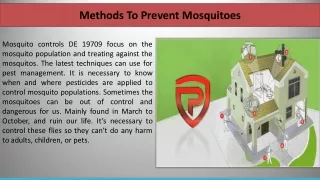 methods to prevent mosquitoes