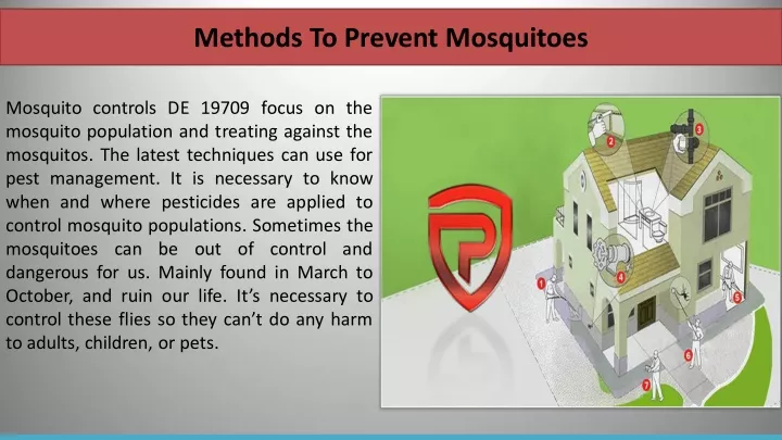 methods to prevent mosquitoes