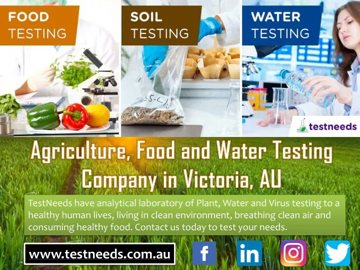 testneeds have analytical laboratory of plant