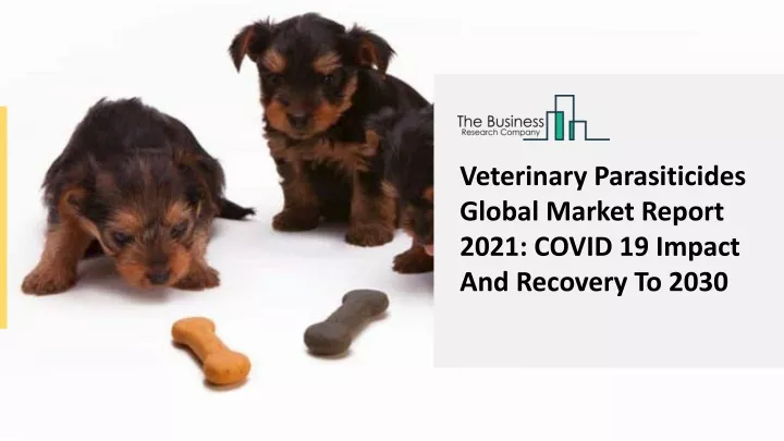 veterinary parasiticides global market report
