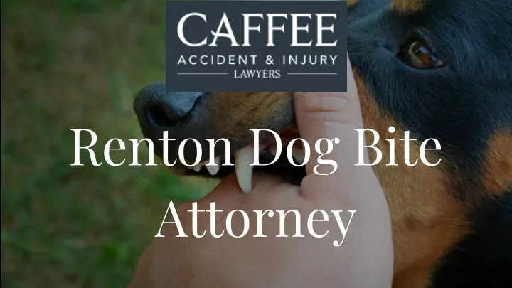 renton dog bite attorney