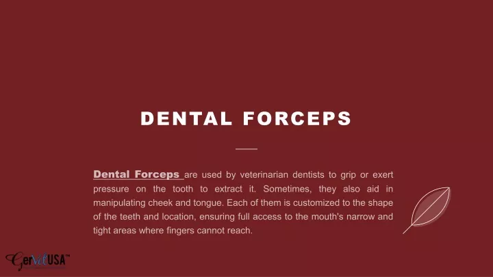 dental forceps