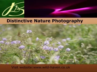 Distinctive Nature Photography