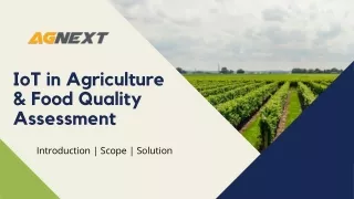 How IoT in Agriculture Dealing With Food Quality Assessment