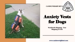 canine weight set
