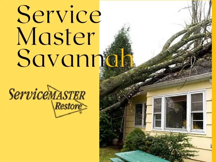 service master savann ah