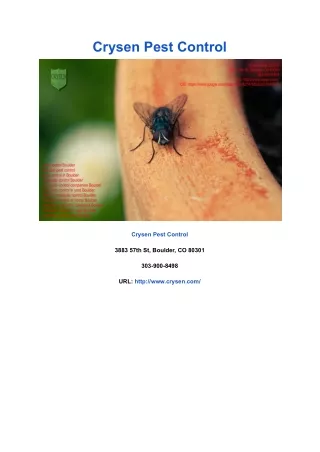 crysen pest control