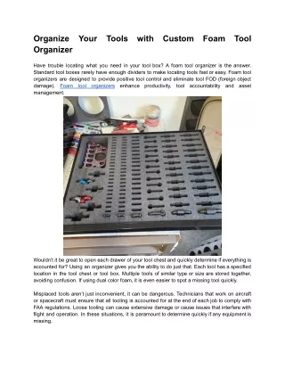 organize organizer