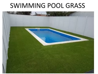 swimming pool grass