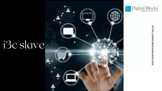 https www digitalblocks com