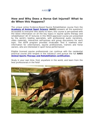 Equine Rehabilitation Certification Online | Academy of Animal Sport Science