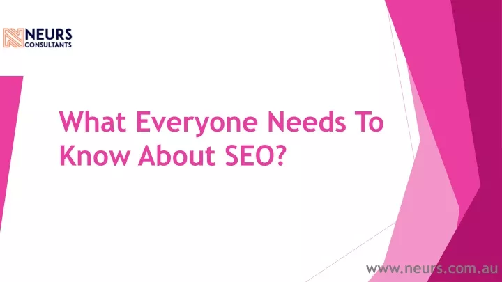 what everyone needs to know about seo