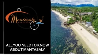 All You Need To Know About Mantasaly