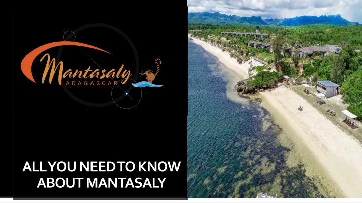 all you need to know about mantasaly