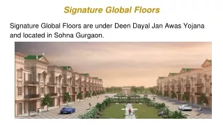 signature global floors