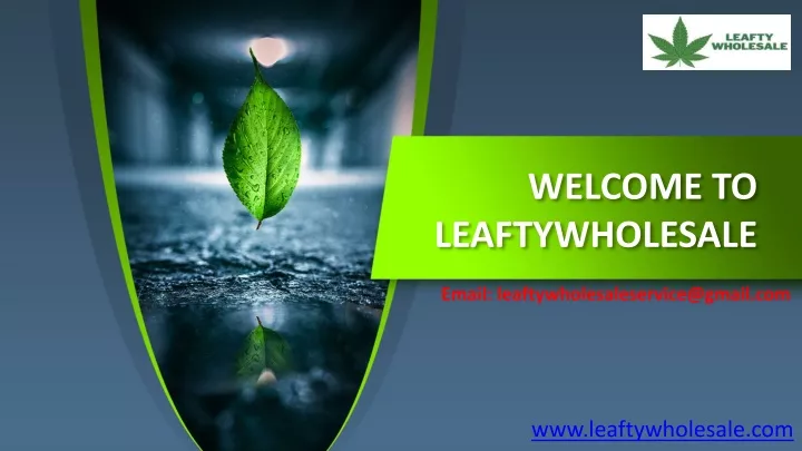 welcome to leaftywholesale