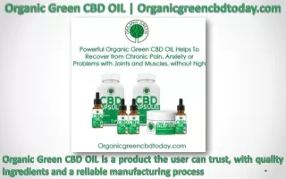 Organic Green CBD Oil (Organicgreencbdtoday.com) Get Relief in Pain, Old Injury