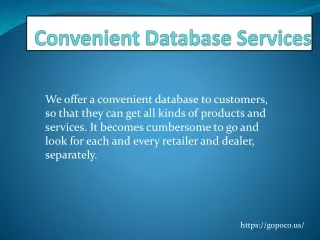 Convenient Database Services | GOPOCO