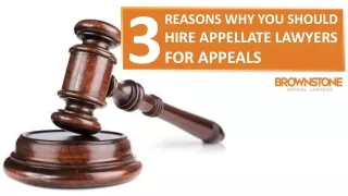 Why Should You Hire Appellate Attorneys for Appeals
