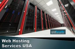 web hosting services usa