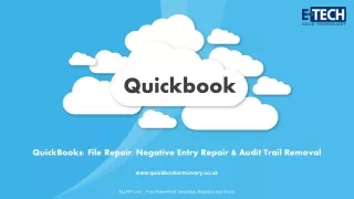 QuickBooks File Repair, Negative Entry Repair & Audit Trail Removal