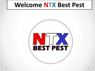 Rodent Exterminator McKinney TX - NTX Best Pest