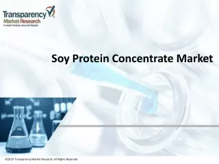 2019 transparency market research all rights