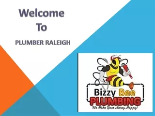 Sewer Cleaning Raleigh | Trenchless Sewer | Bizzy Bee Plumbing, Inc