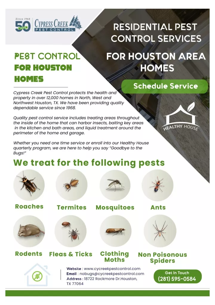 PPT - Houston Termite Control | Termite Inspection Houston PowerPoint ...