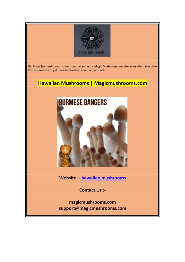 get hawaiian mushrooms strain from the authentic