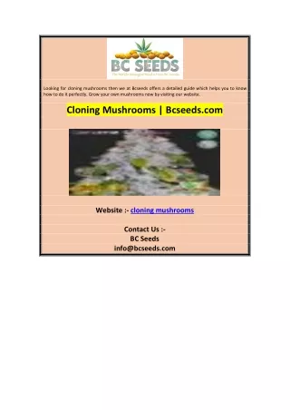 looking for cloning mushrooms then we at bcseeds