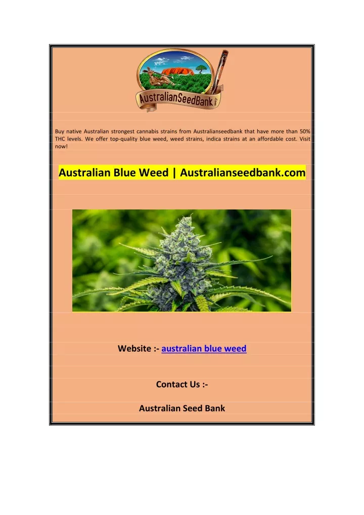 buy native australian strongest cannabis strains