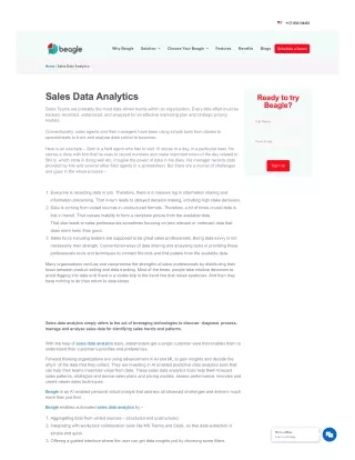 Sales Data Analytics Tool - Beagle